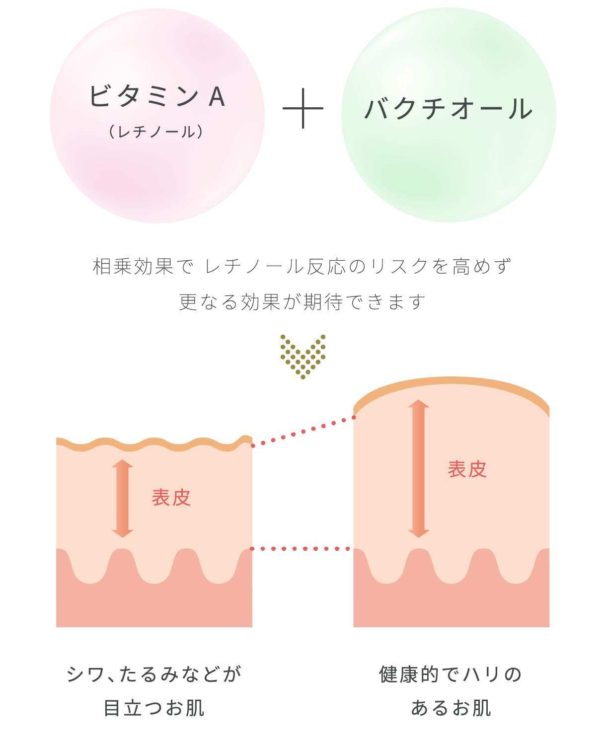 ポイント1　化粧品画像