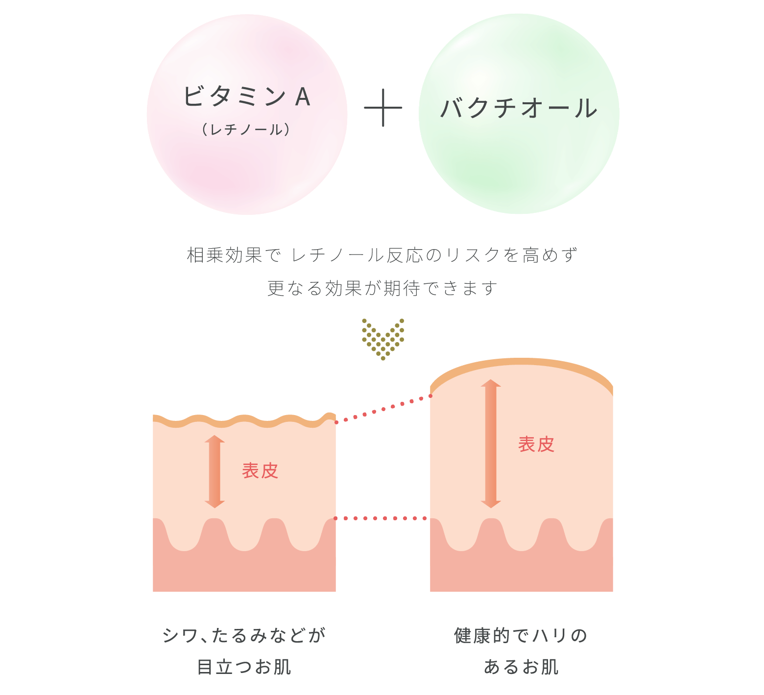 ポイント1　化粧品画像