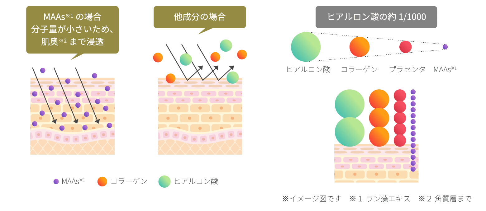 ポイント2　化粧品画像