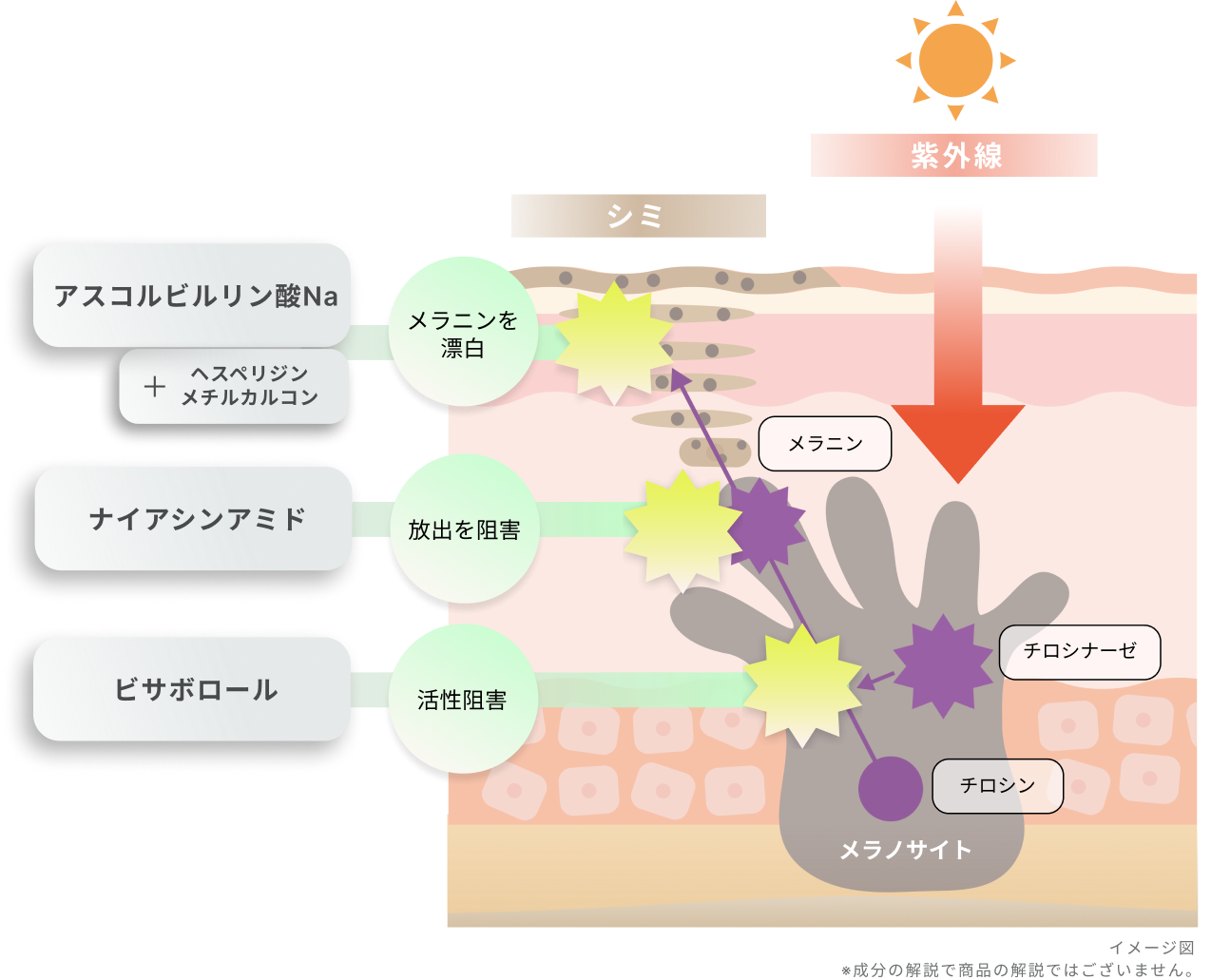 ポイント2　化粧品画像