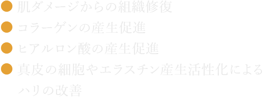 ●肌ダメージからの組織修復　●コラーゲンの産生促進　●ヒアルロン酸の産生促進　●真皮の細胞やエラスチン産生活性化によるハリの改善